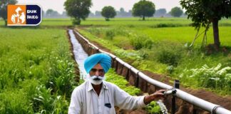 शेतकऱ्यांसाठी प्रभावी सिंचन पद्धती Effective Irrigation Practices for Farmers