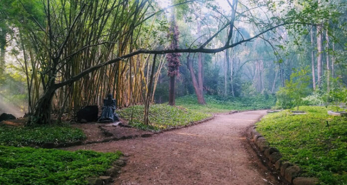 osho garden osho garden