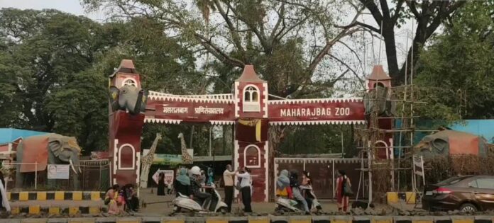 Maharajbagh Zoo, Nagpur